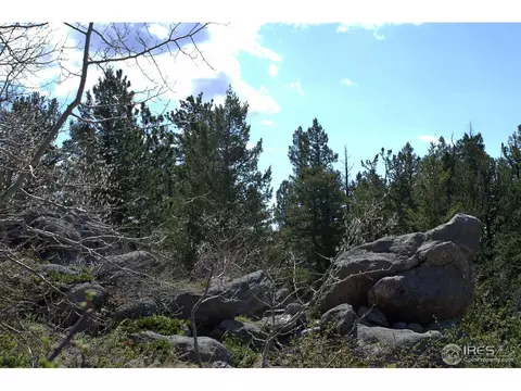 9718 Sugarloaf Rd, Boulder, CO 80302 photo 24