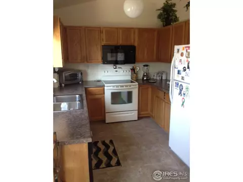 215 Rochester Dr, Windsor, CO 80550 photo 6