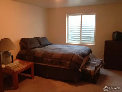 215 Rochester Dr, Windsor, CO 80550 photo 12