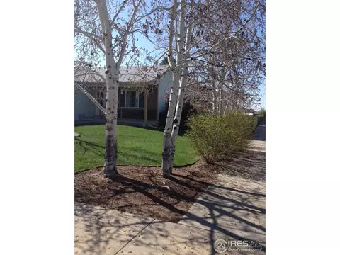 215 Rochester Dr, Windsor, CO 80550 photo 13