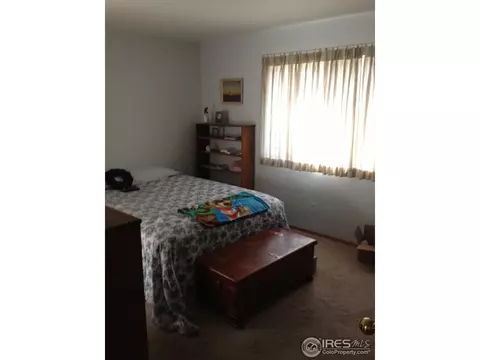 215 Rochester Dr, Windsor, CO 80550 photo 10