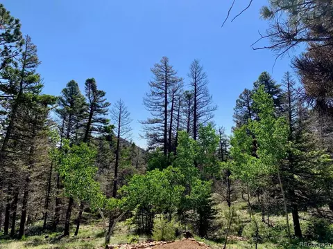3116 Basin Dr, Cotopaxi, CO 81223 photo 8