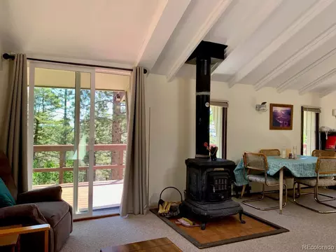3116 Basin Dr, Cotopaxi, CO 81223 photo 15