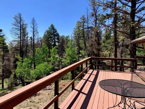 3116 Basin Dr, Cotopaxi, CO 81223 photo 6