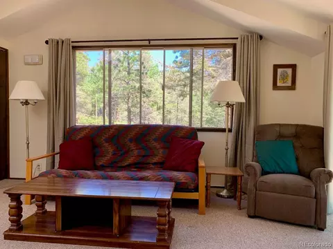 3116 Basin Dr, Cotopaxi, CO 81223 photo 14