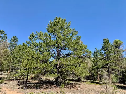 3116 Basin Dr, Cotopaxi, CO 81223 photo 10