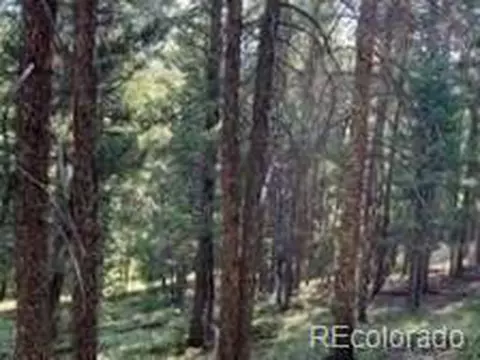 0 Beaver Ln, Grant, CO 80448