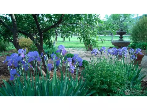 3262 Nebo Rd, Boulder, CO 80302 photo 10