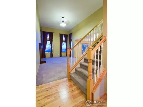 907 Vista Ct, Windsor, CO 80550 photo 14