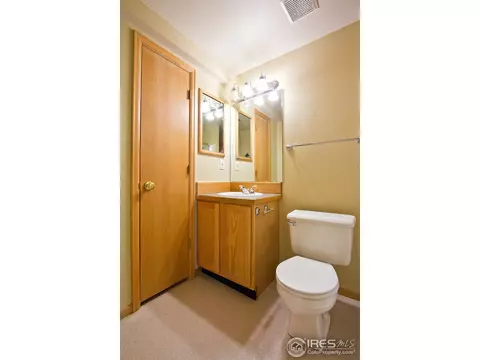 907 Vista Ct, Windsor, CO 80550 photo 10