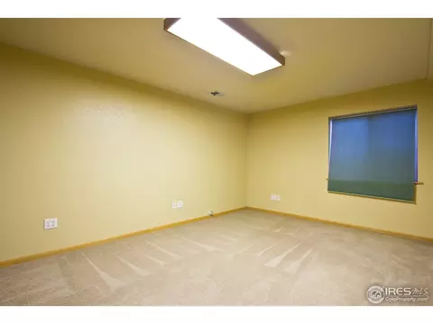 907 Vista Ct, Windsor, CO 80550 photo 19
