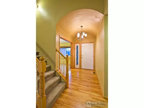 907 Vista Ct, Windsor, CO 80550 photo 3
