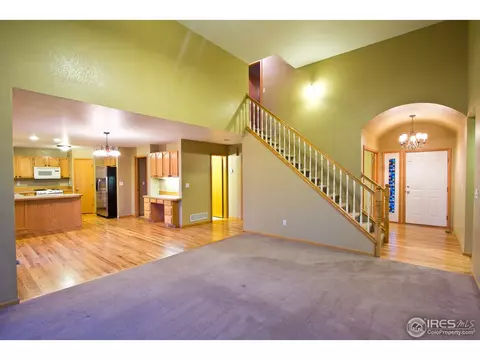 907 Vista Ct, Windsor, CO 80550 photo 11