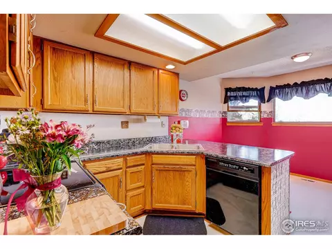4668 E 107th Ave, Thornton, CO 80233 photo 10
