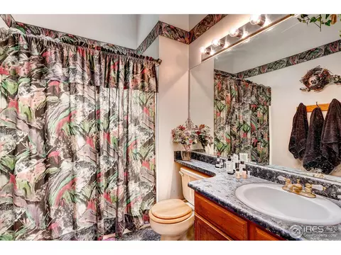 4668 E 107th Ave, Thornton, CO 80233 photo 17