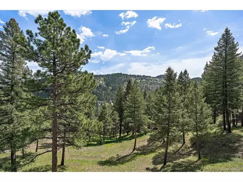 20410 Brookmont Rd, Morrison, CO 80465 photo 38