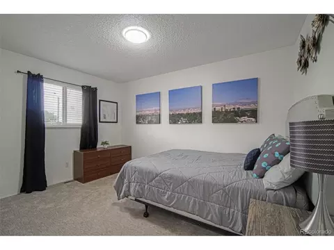 700 Elbert St, Denver, CO 80221 photo 13