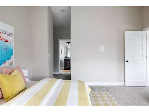 9740 E 61st Pl, Denver, CO 80238 photo 24