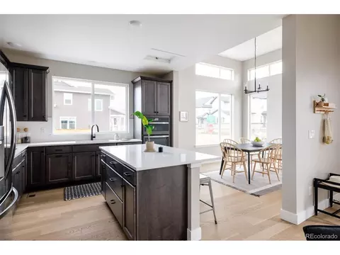 9740 E 61st Pl, Denver, CO 80238 photo 11
