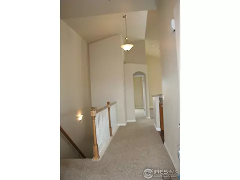 9039 Eldorado Ave, Longmont, CO 80504 photo 7