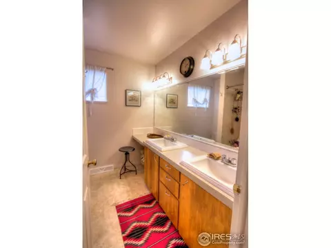 4005 Main St, Timnath, CO 80547 photo 12