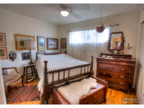 4005 Main St, Timnath, CO 80547 photo 11
