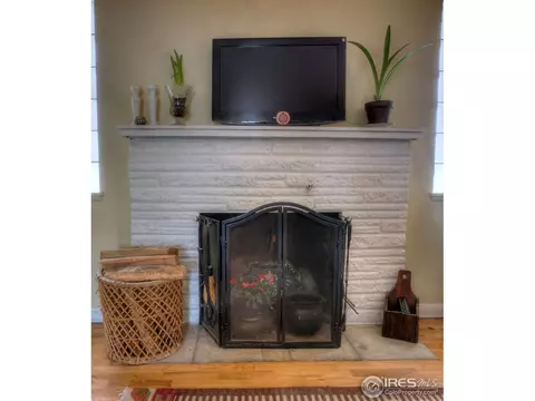 4005 Main St, Timnath, CO 80547 photo 9