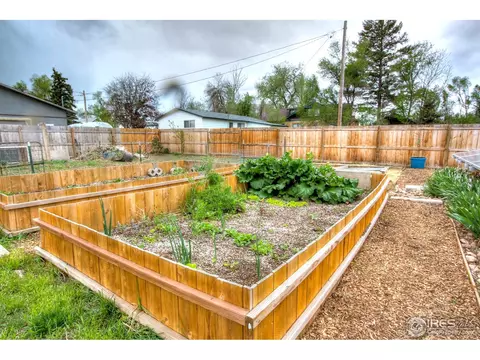 4005 Main St, Timnath, CO 80547 photo 24