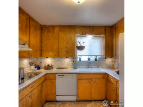 4005 Main St, Timnath, CO 80547 photo 10