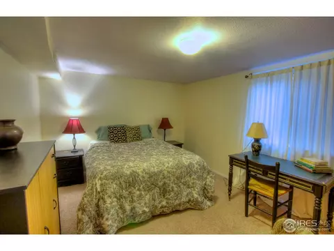 4005 Main St, Timnath, CO 80547 photo 20