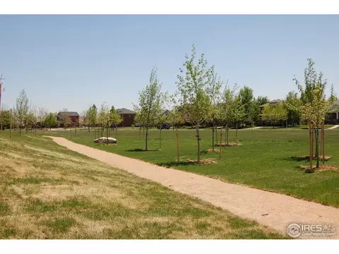110 E Iowa Ave, Berthoud, CO 80513 photo 23