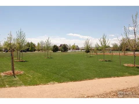 110 E Iowa Ave, Berthoud, CO 80513 photo 24