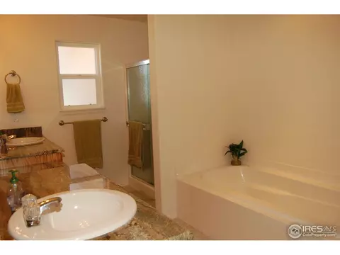 5174 Roadrunner Ave, Firestone, CO 80504 photo 22