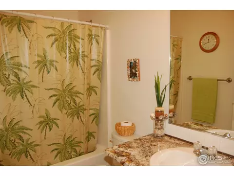 5174 Roadrunner Ave, Firestone, CO 80504 photo 17
