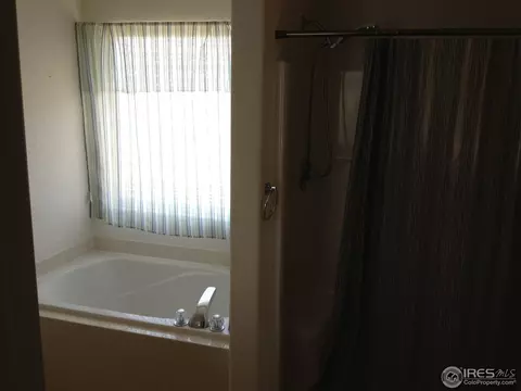 610 Scotch Pine Dr, Severance, CO 80550 photo 7