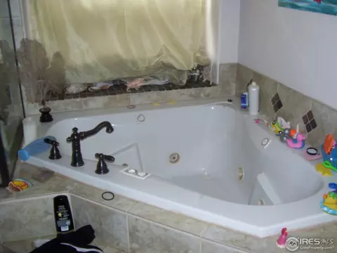317 Locust St, Windsor, CO 80550 photo 4