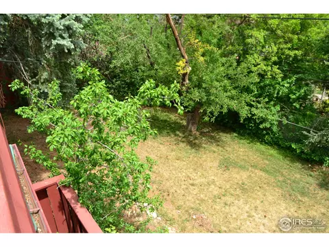 315 Forest Ave, Boulder, CO 80304 photo 6