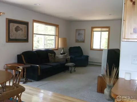 596 Karlann Dr, Black Hawk, CO 80422 photo 7