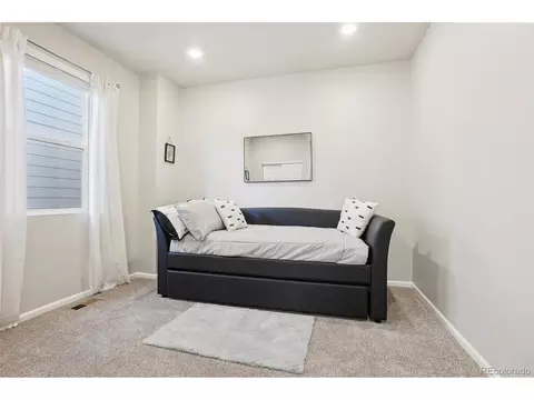 6028 Corral St, Brighton, CO 80601 photo 23