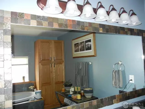 604 Oak St, Windsor, CO 80550 photo 11