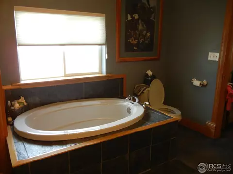 604 Oak St, Windsor, CO 80550 photo 10