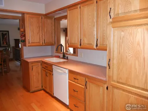 604 Oak St, Windsor, CO 80550 photo 6