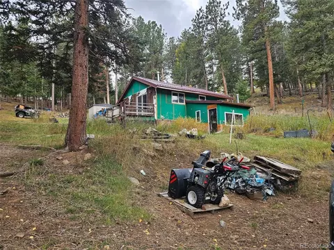 668 N Pine Dr, Bailey, CO 80421