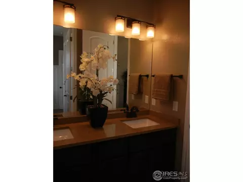 6700 Clovis Ct, Timnath, CO 80547 photo 11