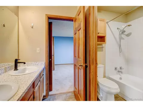 16579 E Prentice Cir, Centennial, CO 80015 photo 27