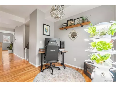 5428 Zephyr Ct, Arvada, CO 80002 photo 19