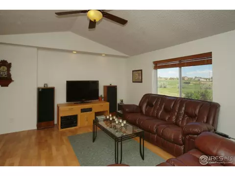 10255 E 155th Pl, Brighton, CO 80602 photo 3