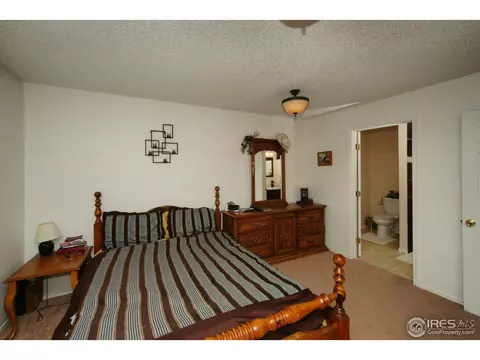 10255 E 155th Pl, Brighton, CO 80602 photo 7
