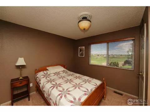10255 E 155th Pl, Brighton, CO 80602 photo 10