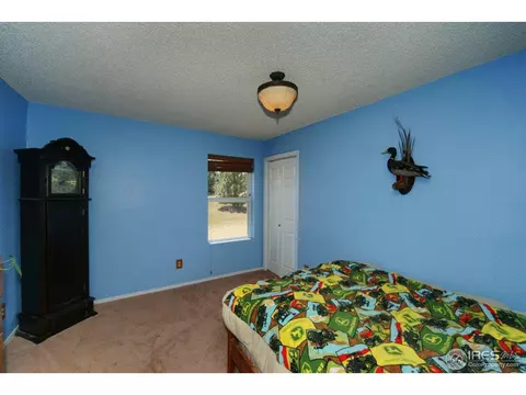 10255 E 155th Pl, Brighton, CO 80602 photo 13